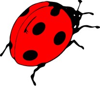 <span style="color:#497abd !important;">SKOGSKNYTTE <br> FRILUFTSFRÄMJANDET</span>